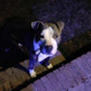 Meet your Posher, Thomas